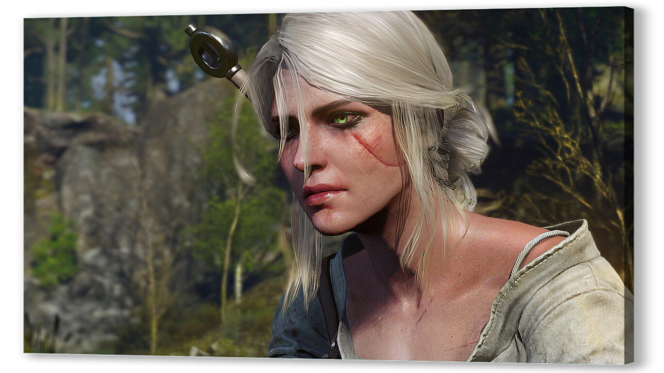 Постер The Witcher 3: Wild Hunt
 артикул 21918