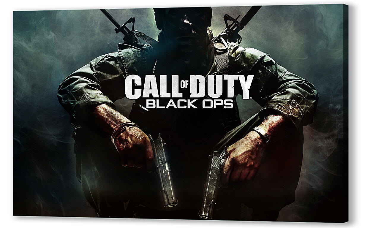 Постер (плакат) Call Of Duty: Black Ops
 артикул 22271
