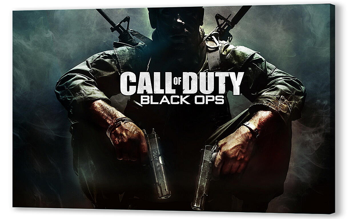 Постер Call Of Duty: Black Ops
 артикул 22271