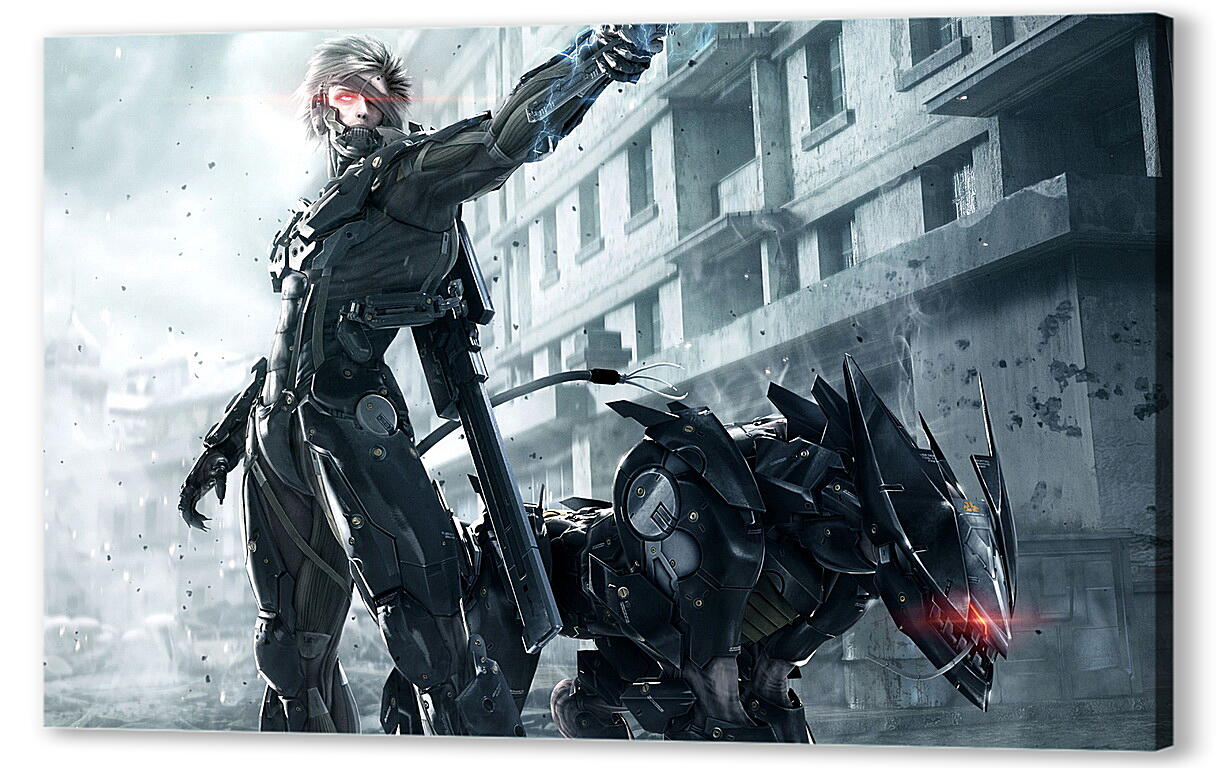 Постер (плакат) Metal Gear Rising: Revengeance
 артикул 22274