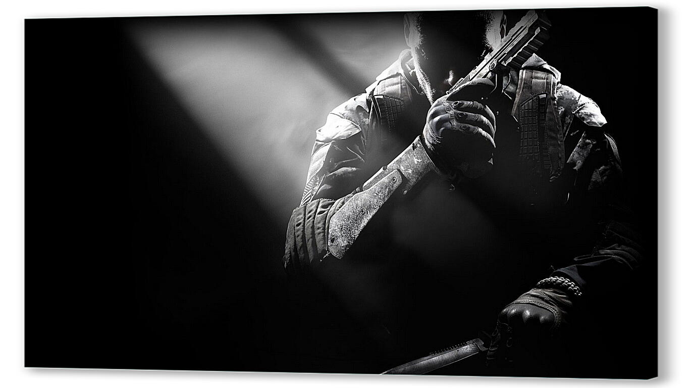 Постер Call Of Duty: Black Ops
 артикул 22318