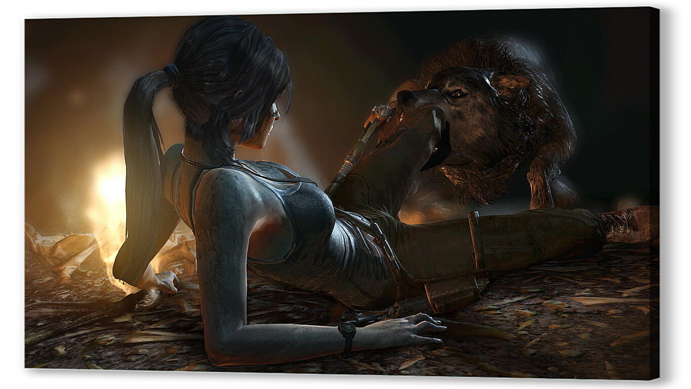 Постер (плакат) Tomb Raider
 артикул 22728