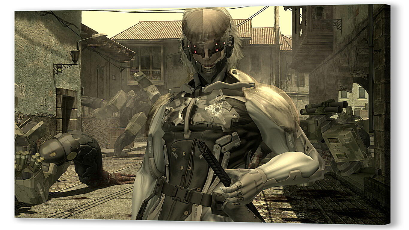 Постер (плакат) Metal Gear Rising: Revengeance
 артикул 22823
