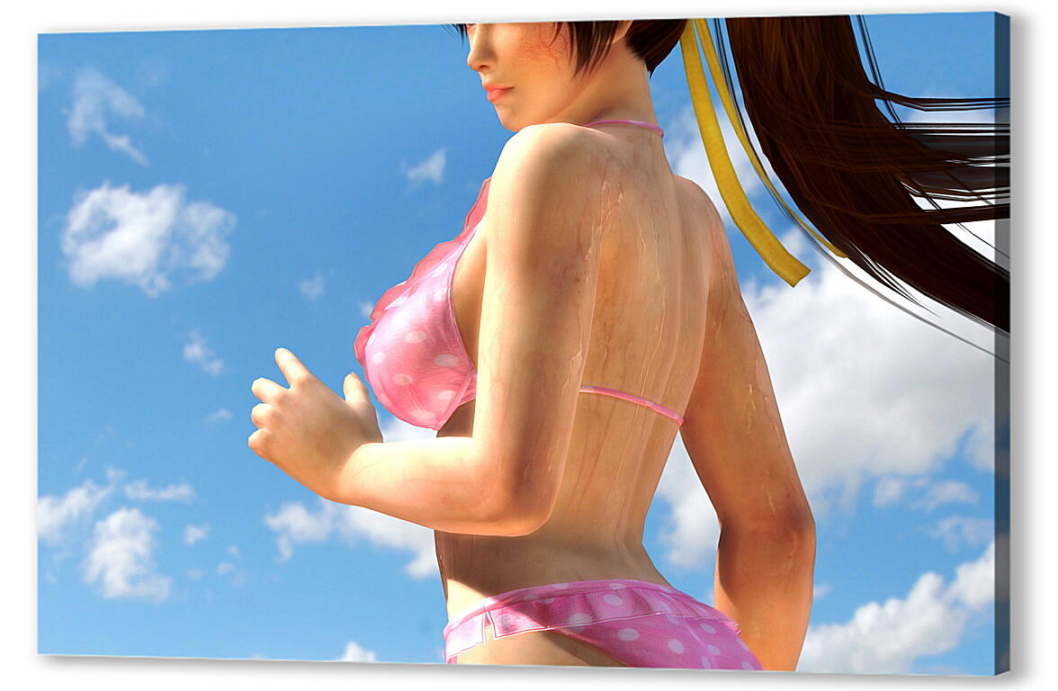 Постер Dead Or Alive 5
 артикул 22876