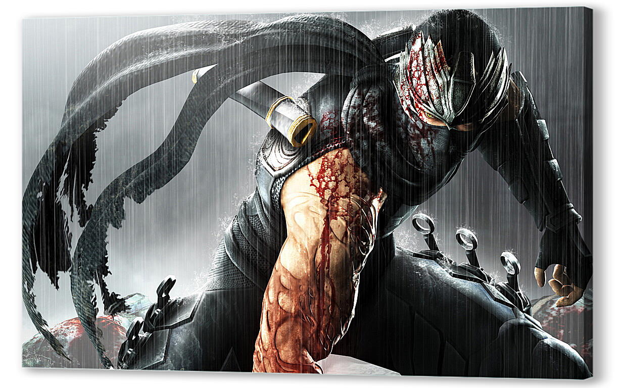 Постер (плакат) Ninja Gaiden
 артикул 22964