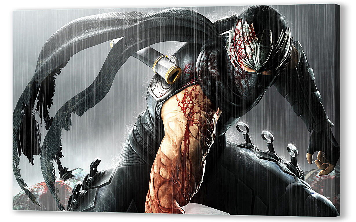 Постер Ninja Gaiden
 артикул 22964