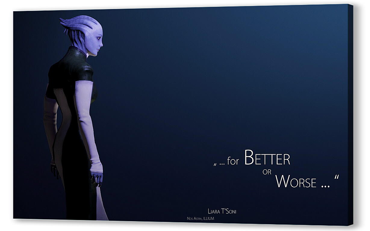Постер (плакат) Mass Effect 2
 артикул 22991