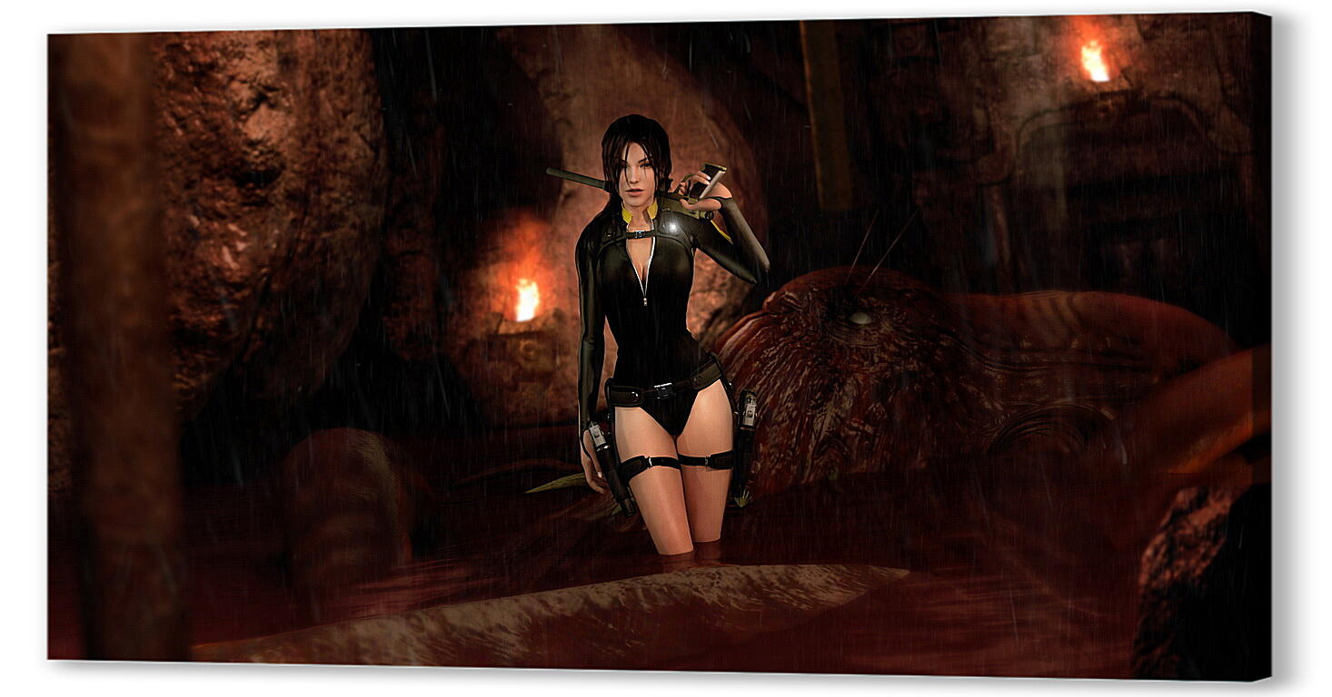 Постер Tomb Raider: Underworld
 артикул 23205