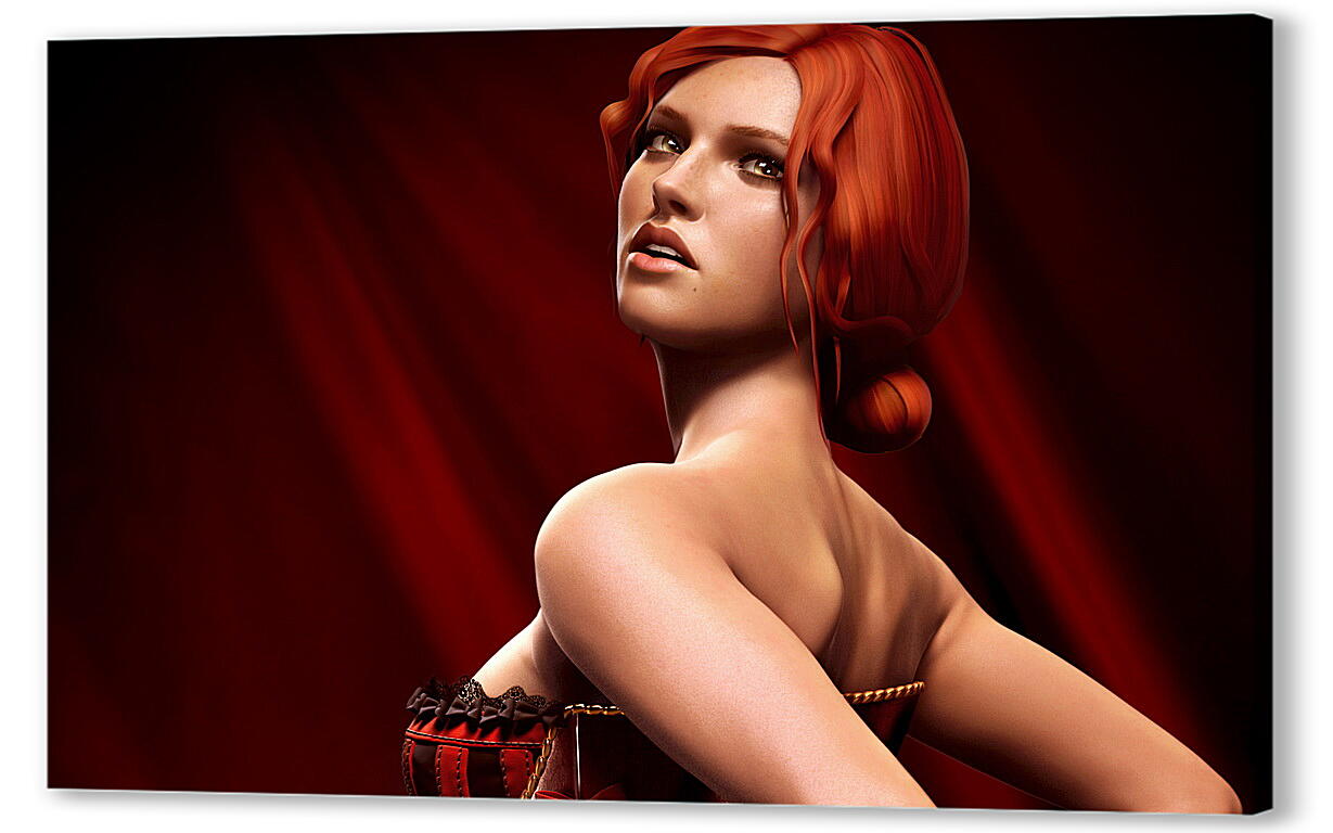 Постер The Witcher 2: Assassins Of Kings
 артикул 23935