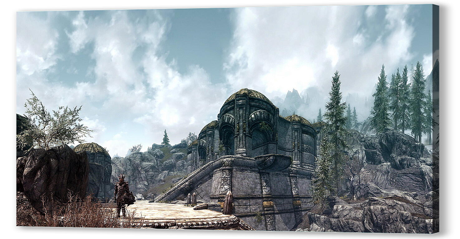Постер The Elder Scrolls V: Skyrim
 артикул 24110
