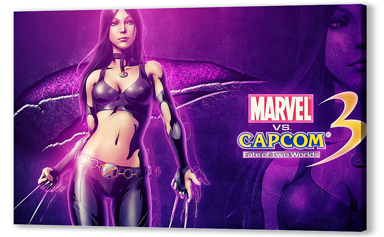 Постер Marvel Vs. Capcom 3: Fate Of Two Worlds артикул 24278
