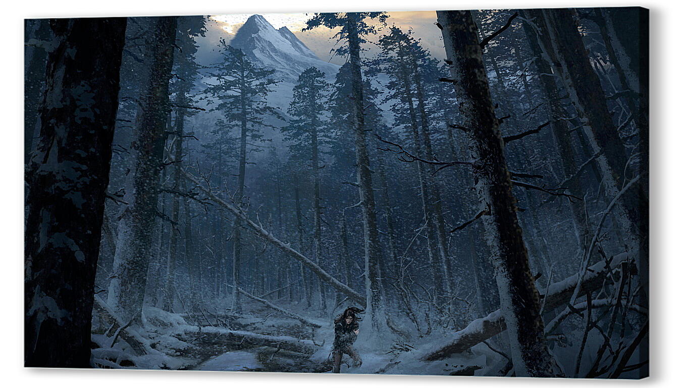 Постер Rise Of The Tomb Raider
 артикул 24377