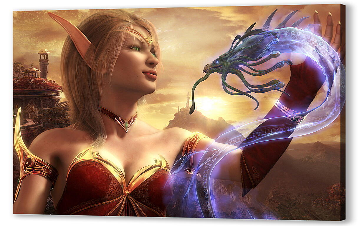 Постер World Of Warcraft артикул 24479