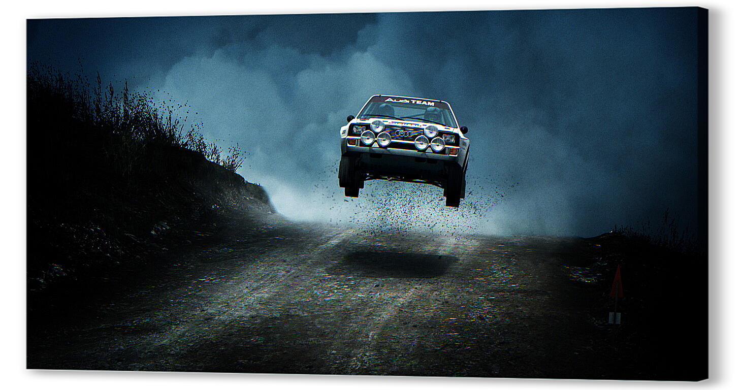 Постер DiRT Rally артикул 24612