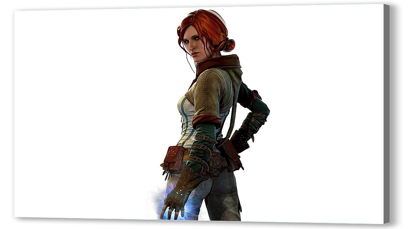 Постер The Witcher
 артикул 24710