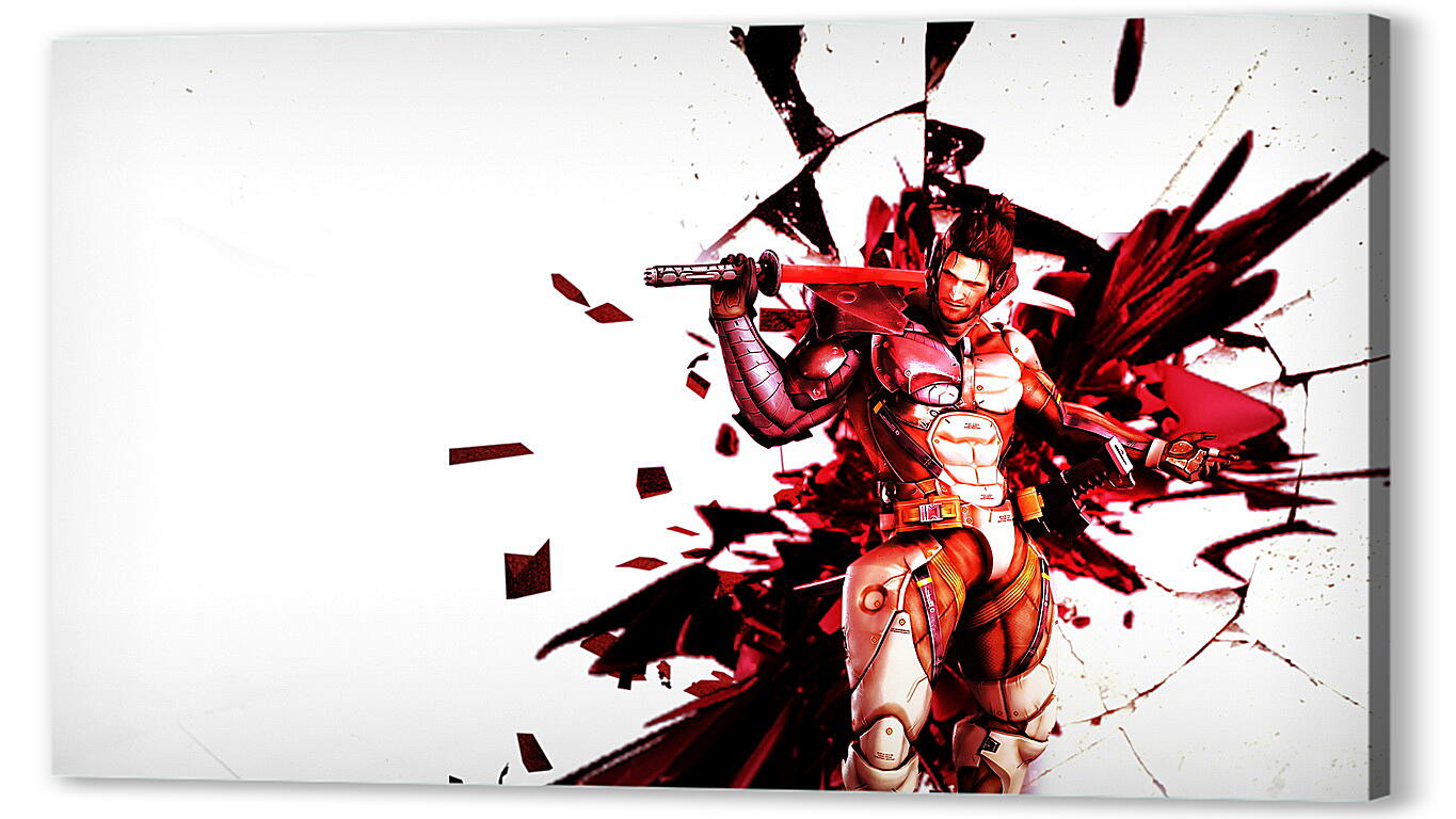 Постер (плакат) Metal Gear Rising
 артикул 24746