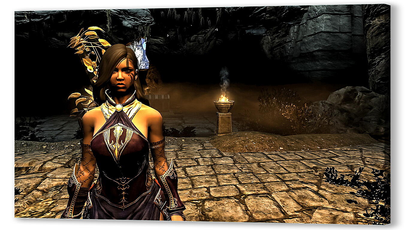 Постер The Elder Scrolls V: Skyrim
 артикул 25016
