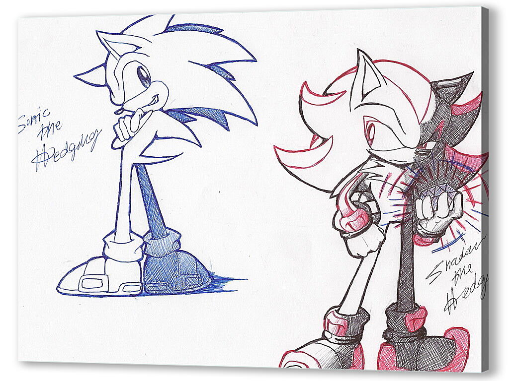 Постер Sonic The Hedgehog
 артикул 25111