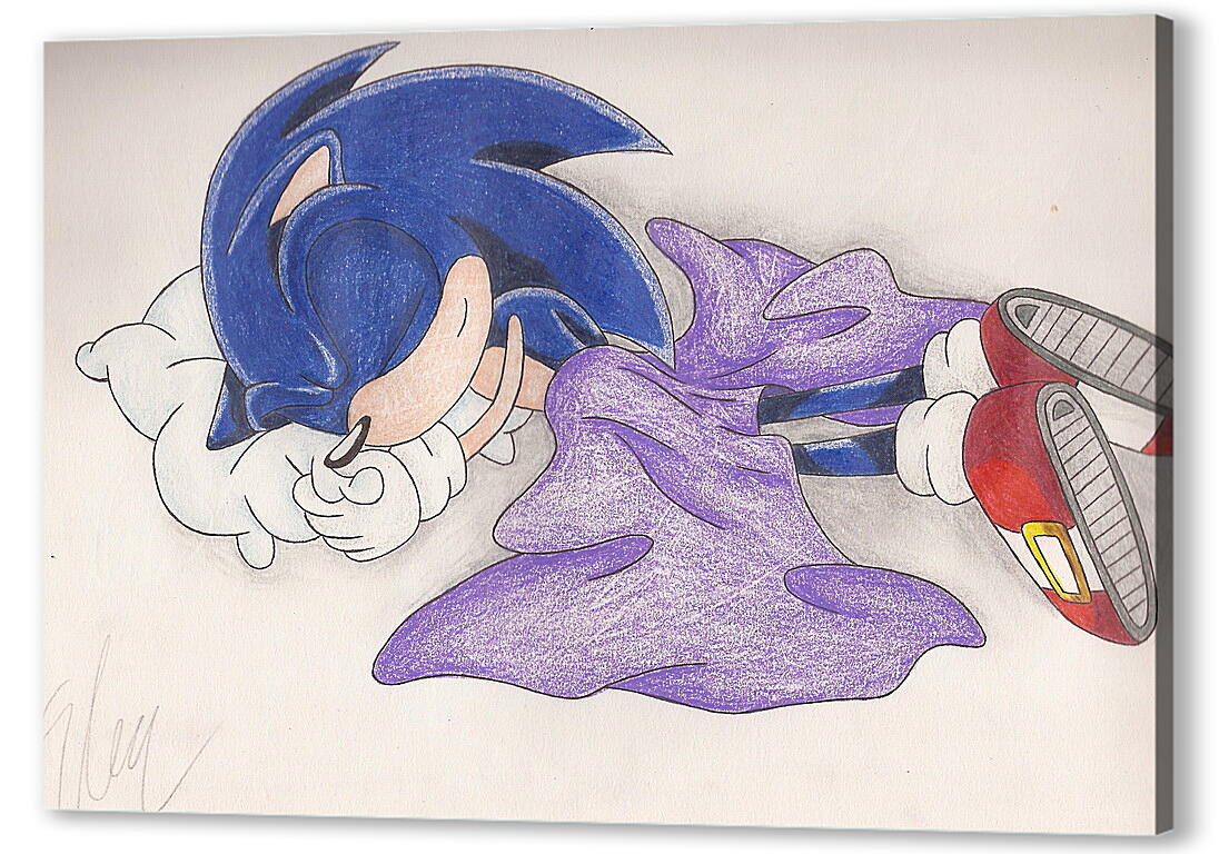 Постер Sonic The Hedgehog
 артикул 25113
