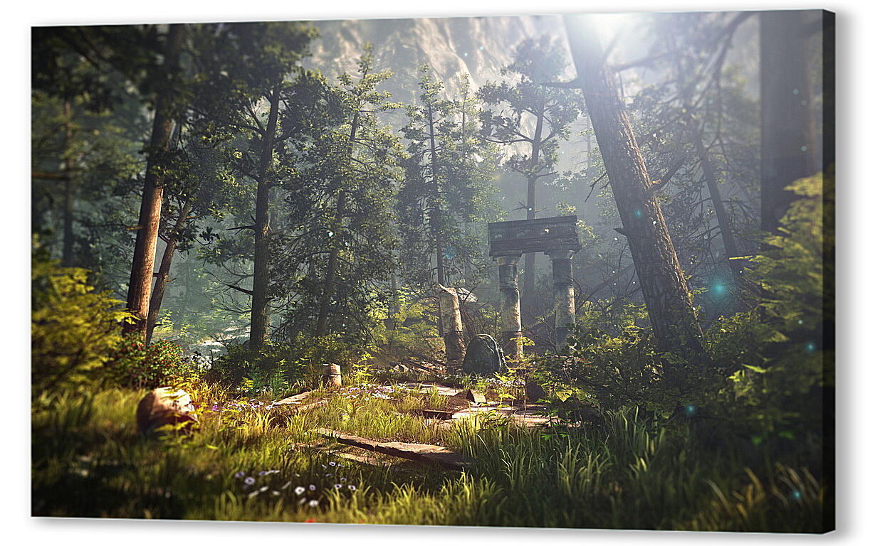 Постер The Witcher 2: Assassins Of Kings
 артикул 25155