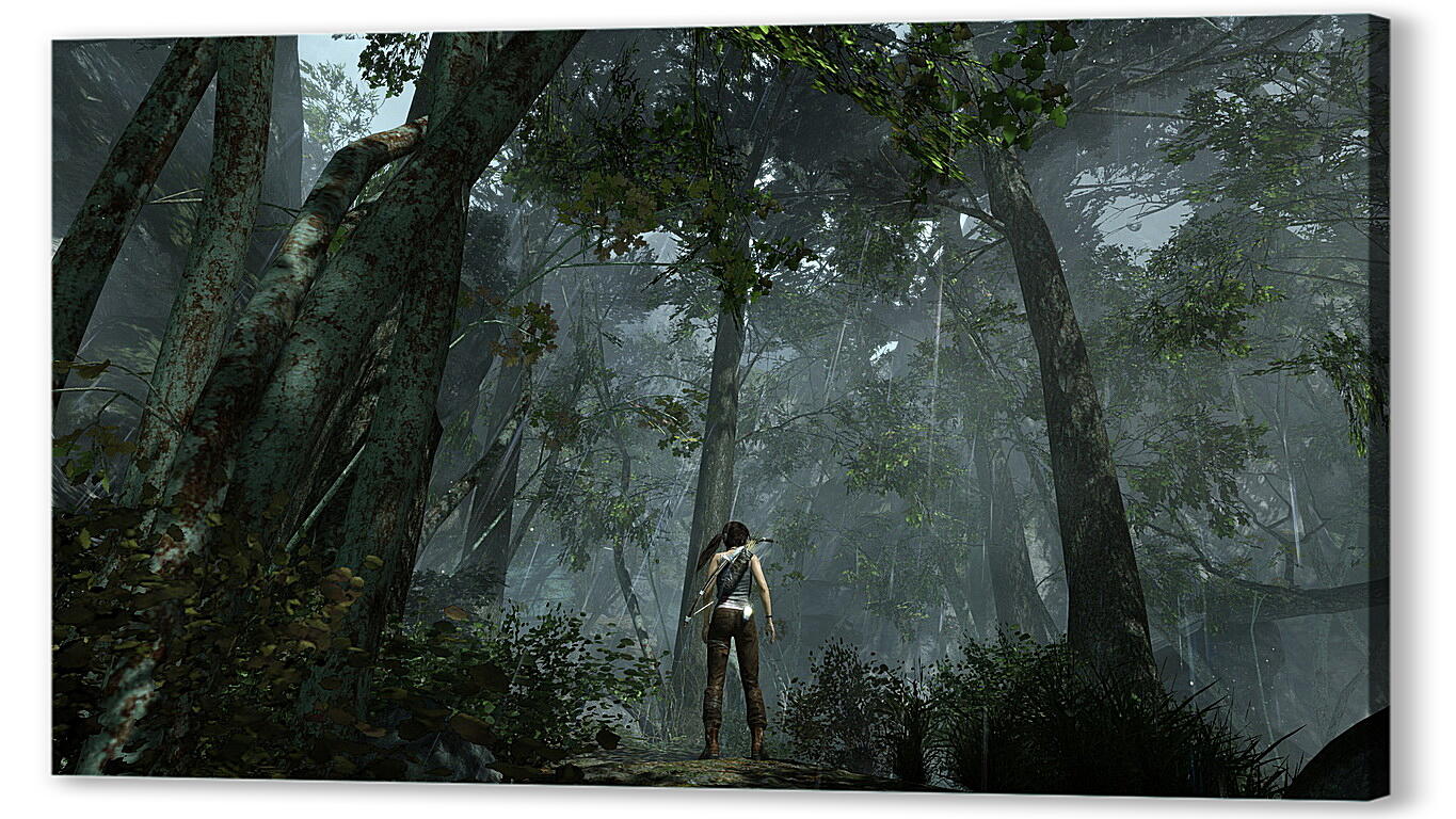 Постер Tomb Raider
 артикул 25328