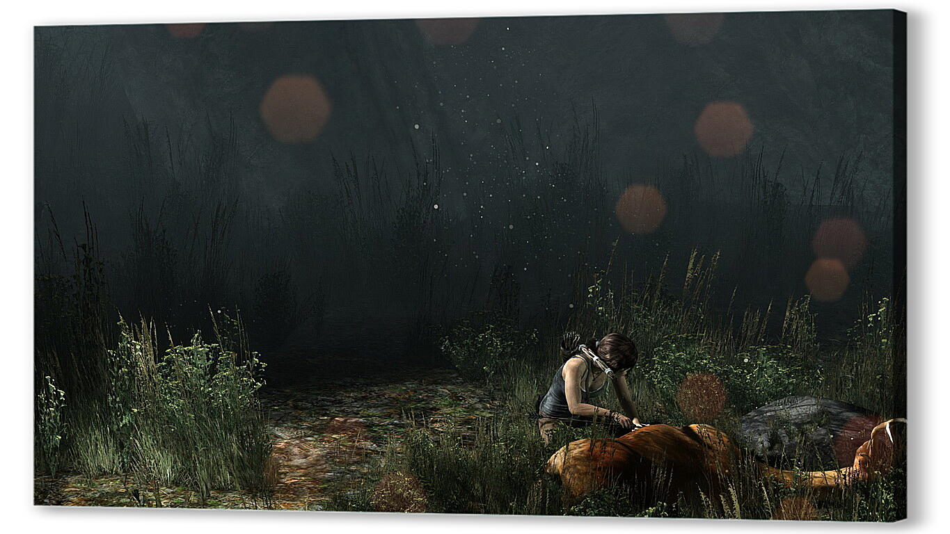 Постер Tomb Raider
 артикул 25329