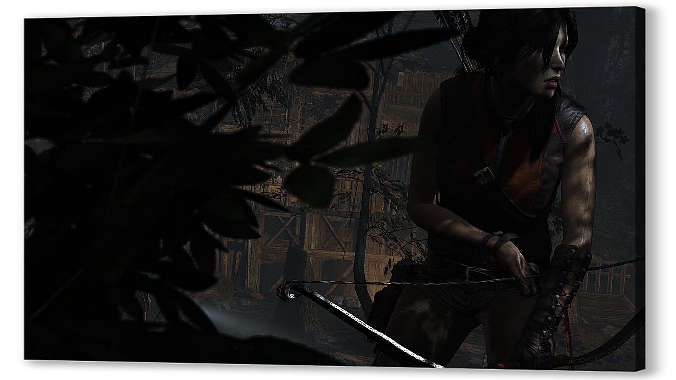 Постер Tomb Raider
 артикул 25330