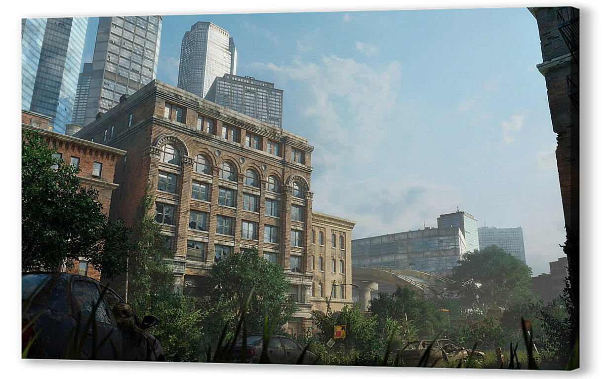 Постер The Last Of Us
 артикул 25387