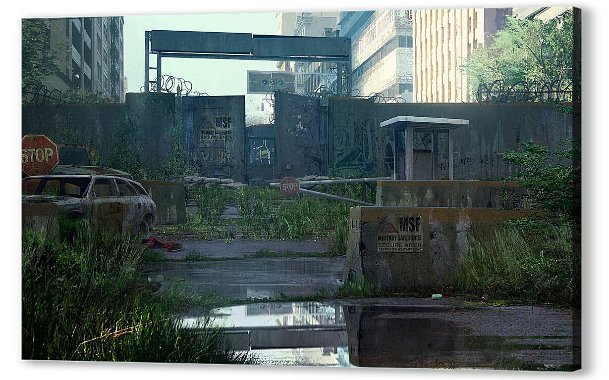 Постер The Last Of Us
 артикул 25502