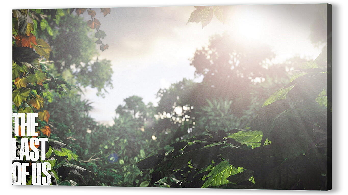 Постер The Last Of Us
 артикул 25503
