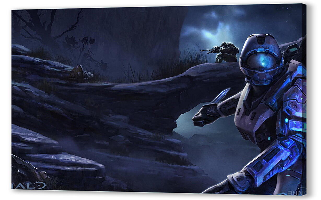 Постер Halo: Reach
 артикул 25596