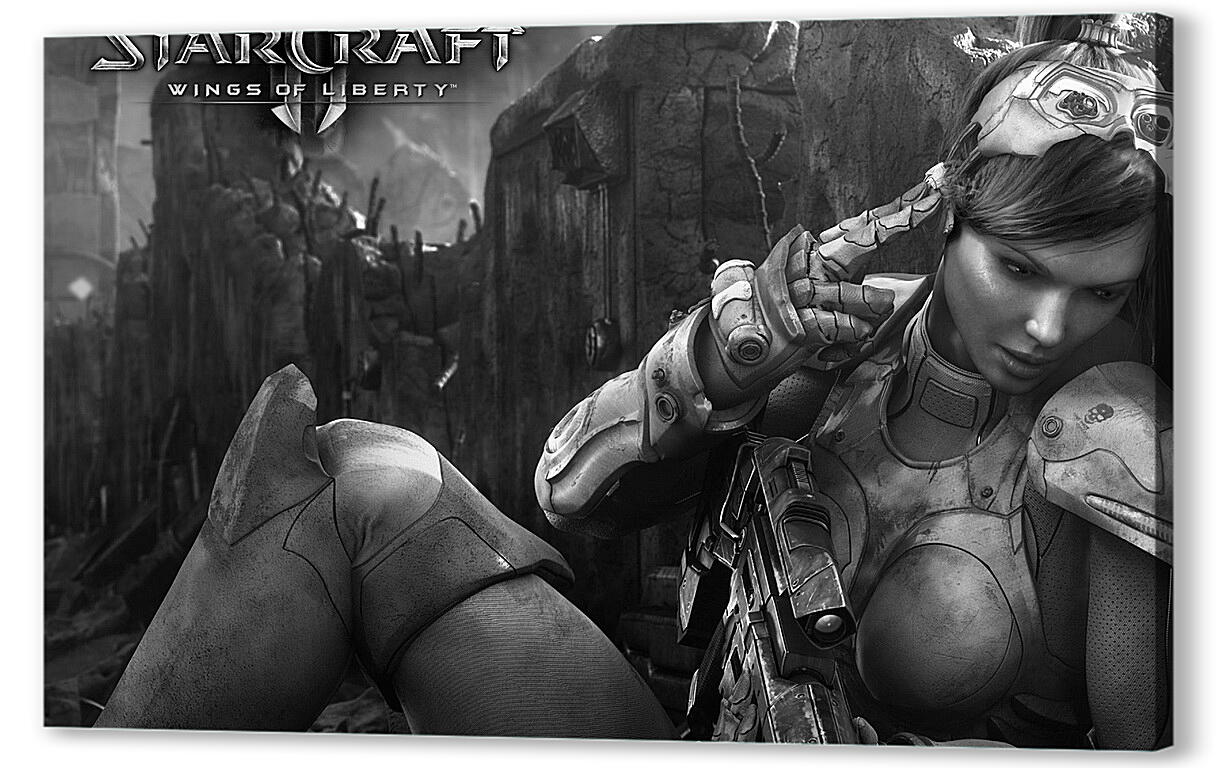 Постер Starcraft
 артикул 25693