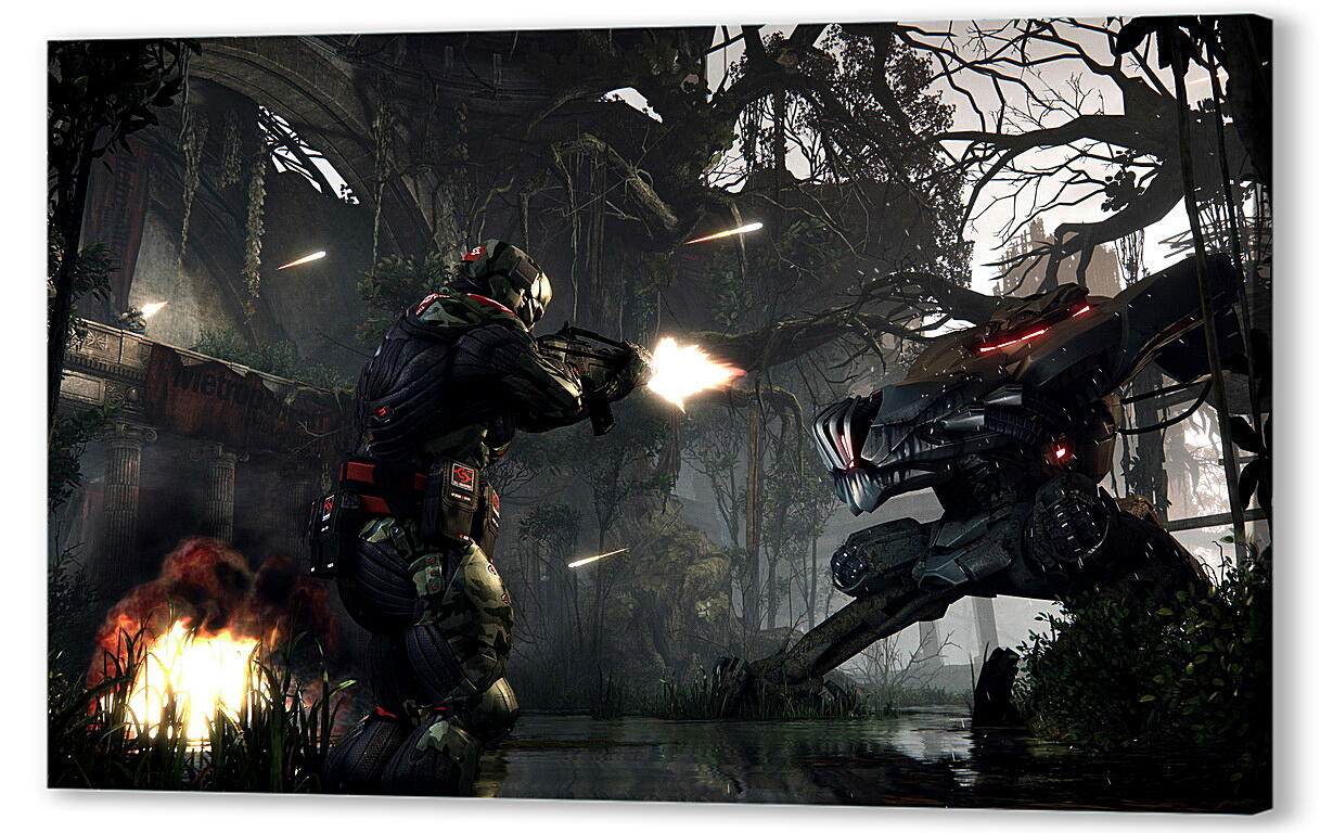 Постер Crysis 3
 артикул 25708
