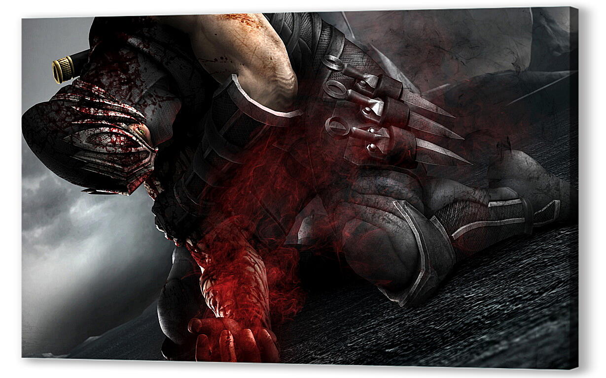Постер Ninja Gaiden
 артикул 25734