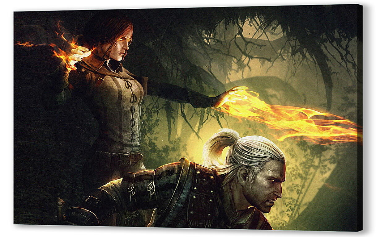 Постер (плакат) The Witcher 2: Assassins Of Kings
 артикул 25929
