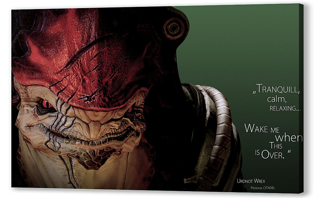 Постер (плакат) Mass Effect 2
 артикул 25938