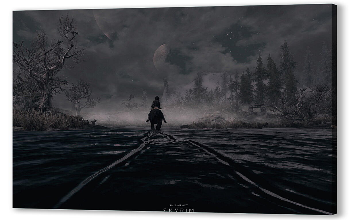 Постер The Elder Scrolls V: Skyrim
 артикул 25978