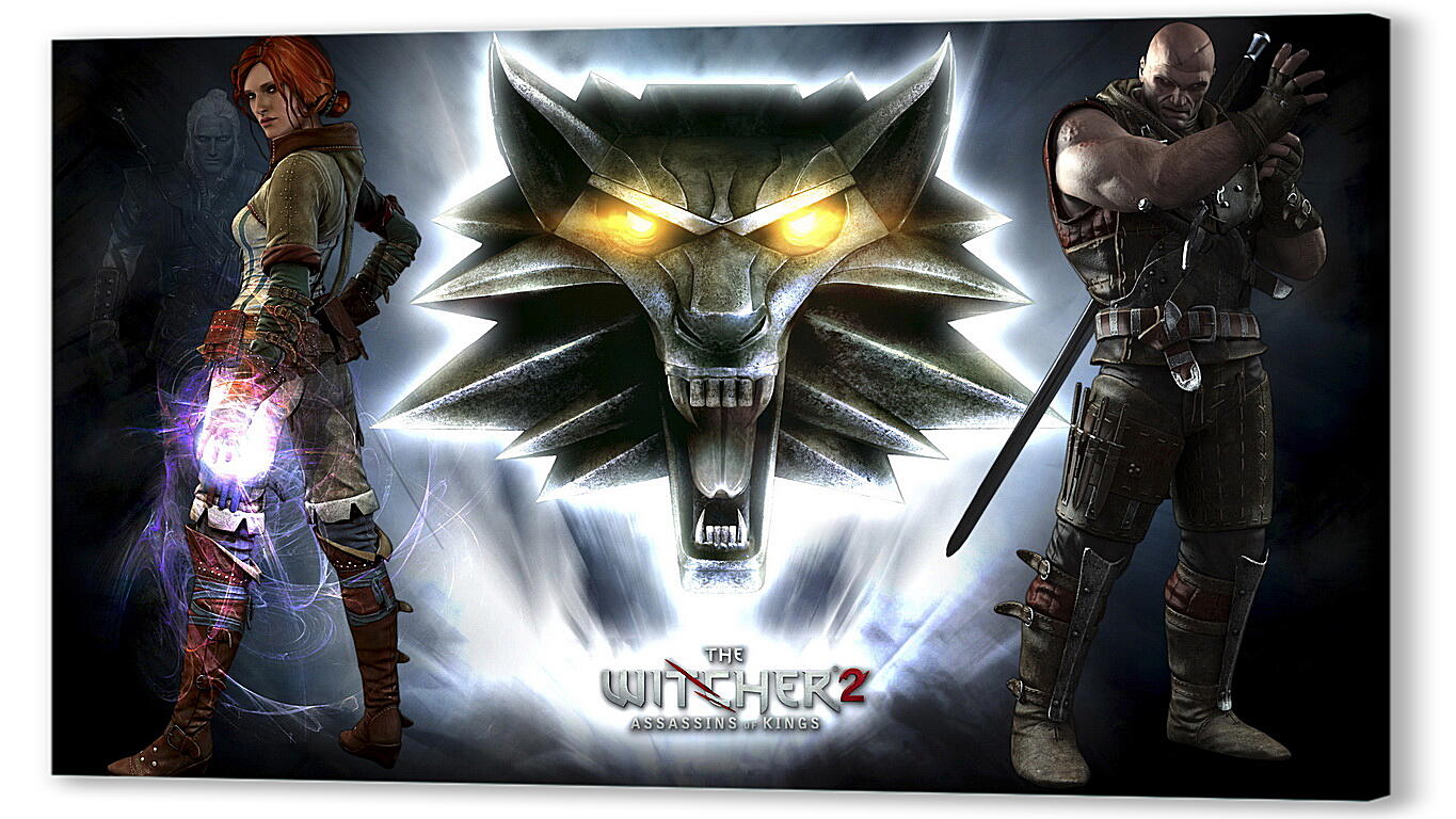 Постер The Witcher 2: Assassins Of Kings
 артикул 26000