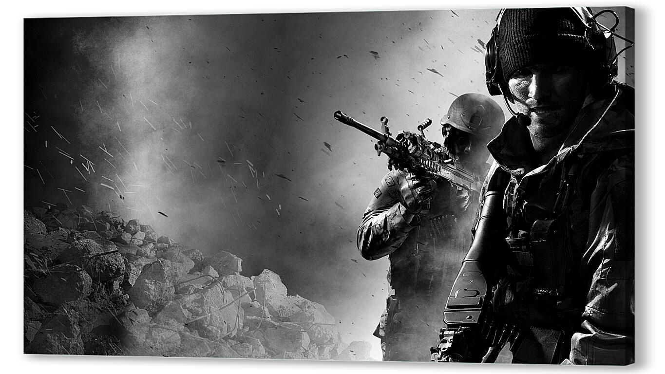 Постер (плакат) Call Of Duty: Modern Warfare 3
 артикул 26327