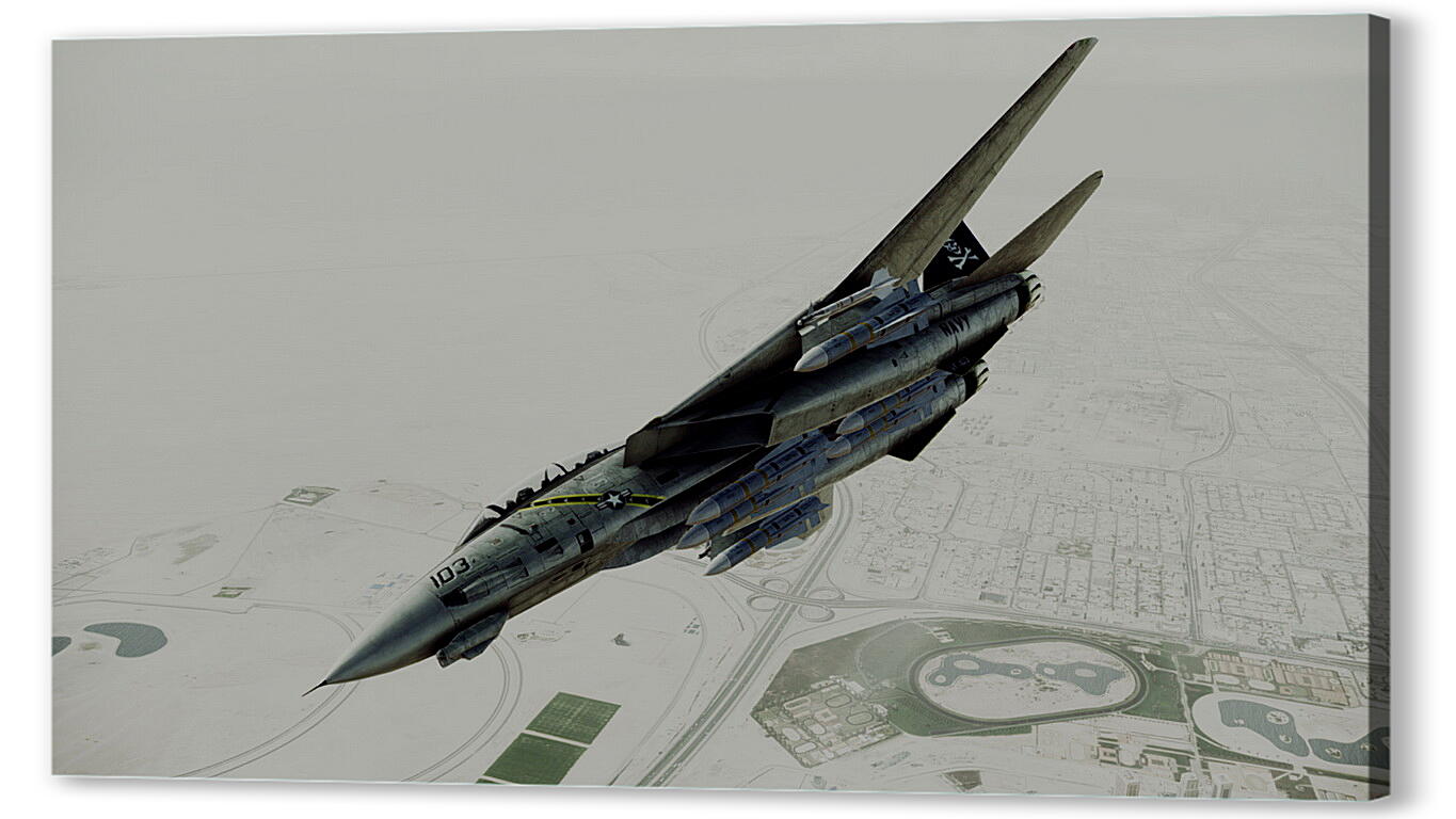 Постер Ace Combat: Assault Horizon
 артикул 26456