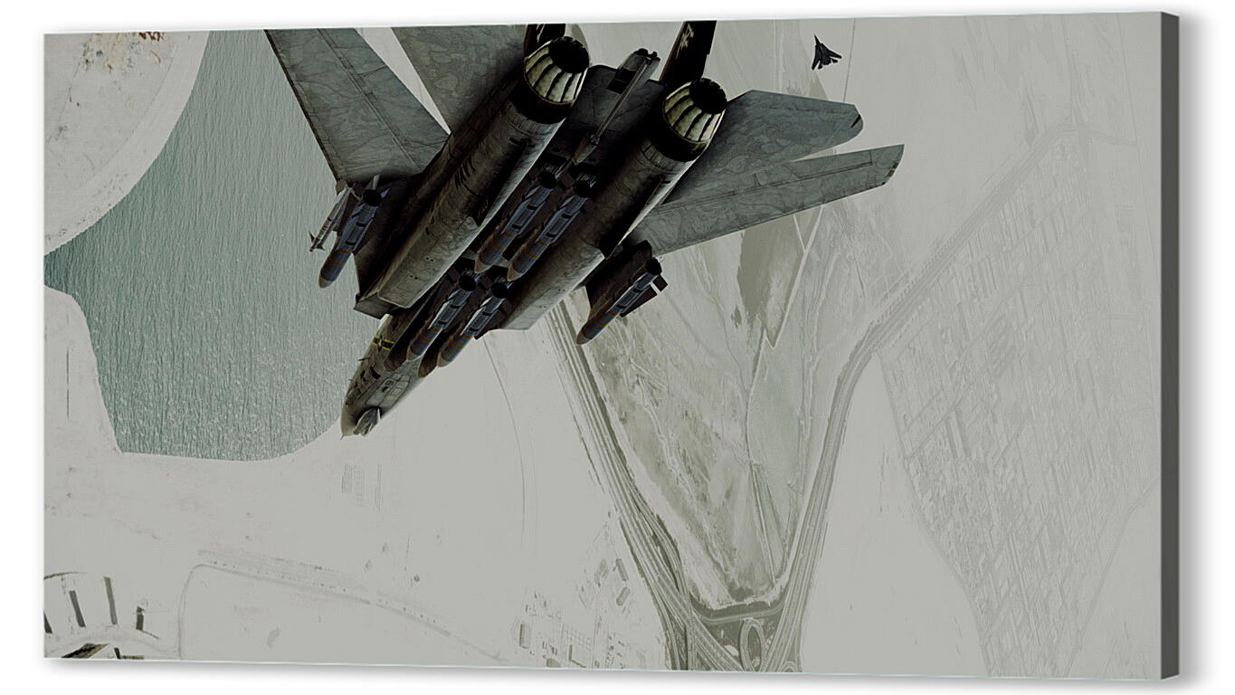 Постер (плакат) Ace Combat: Assault Horizon
 артикул 26457