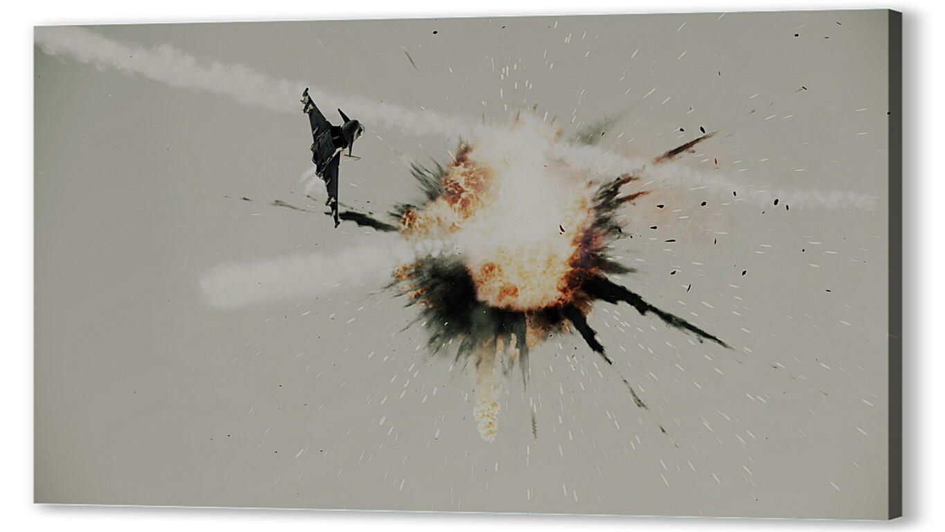 Постер (плакат) Ace Combat: Assault Horizon
 артикул 26463