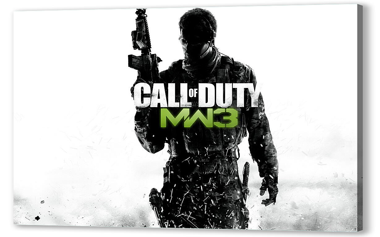 Постер (плакат) Call Of Duty: Modern Warfare 3
 артикул 26581
