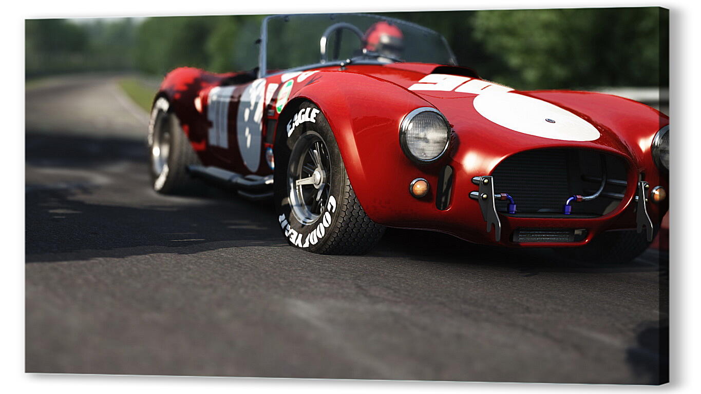 Постер Assetto Corsa
 артикул 26851
