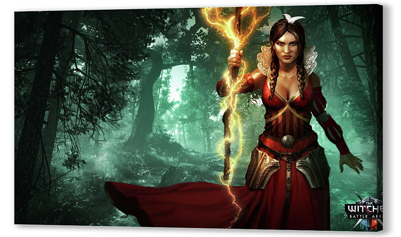 Постер (плакат) The Witcher: Battle Arena
 артикул 27012