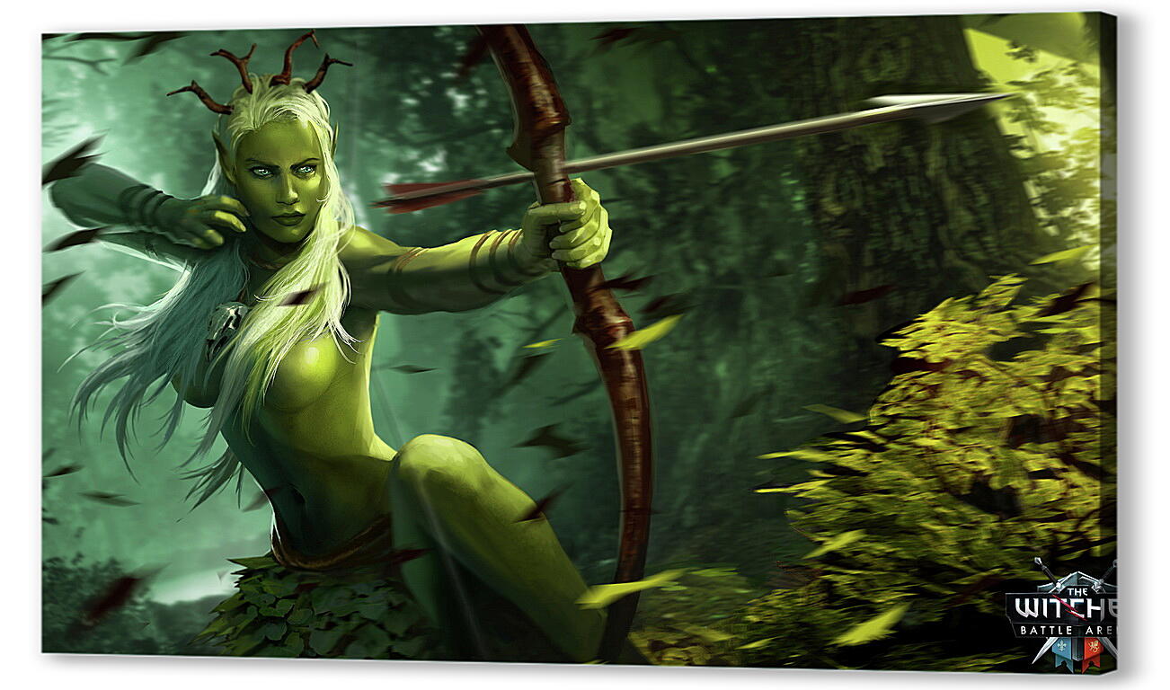 Постер (плакат) The Witcher: Battle Arena
 артикул 27013