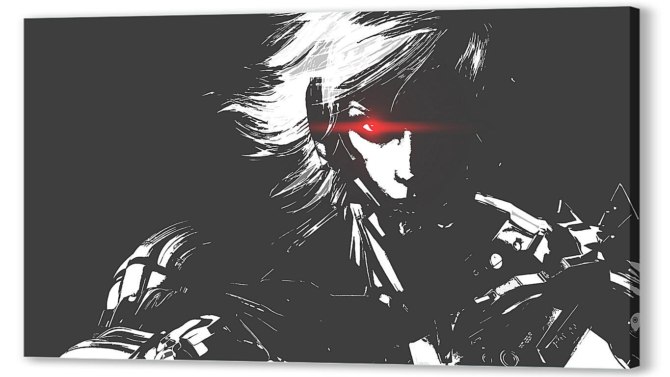 Постер (плакат) Metal Gear Rising
 артикул 27035