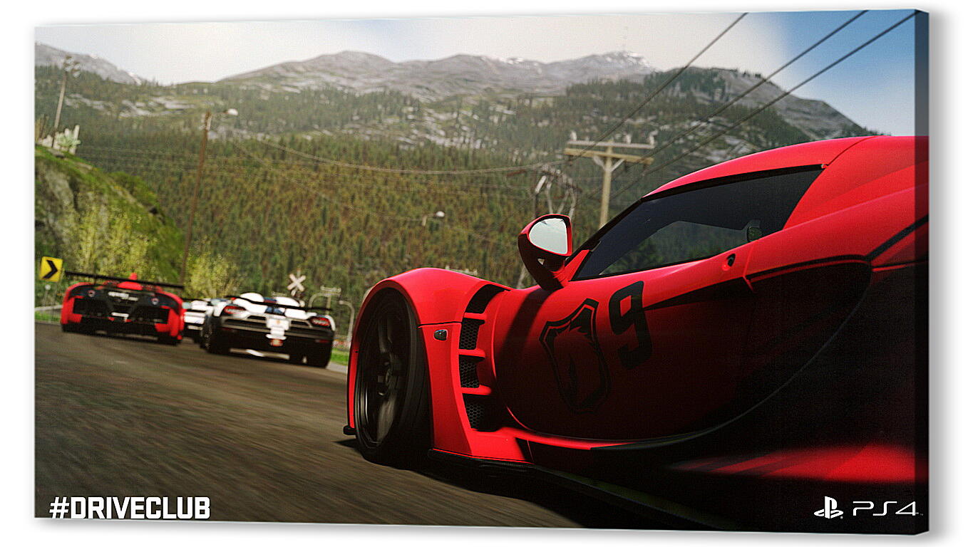 Постер (плакат) Driveclub
 артикул 27224