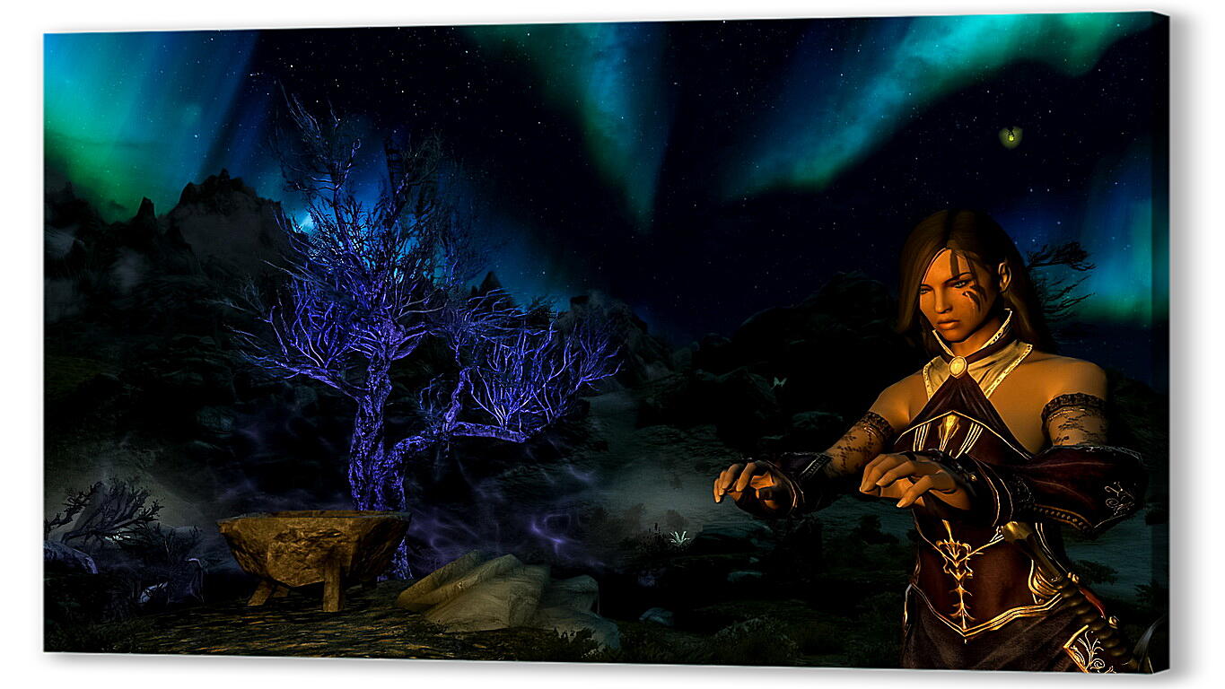 Постер The Elder Scrolls V: Skyrim
 артикул 27371