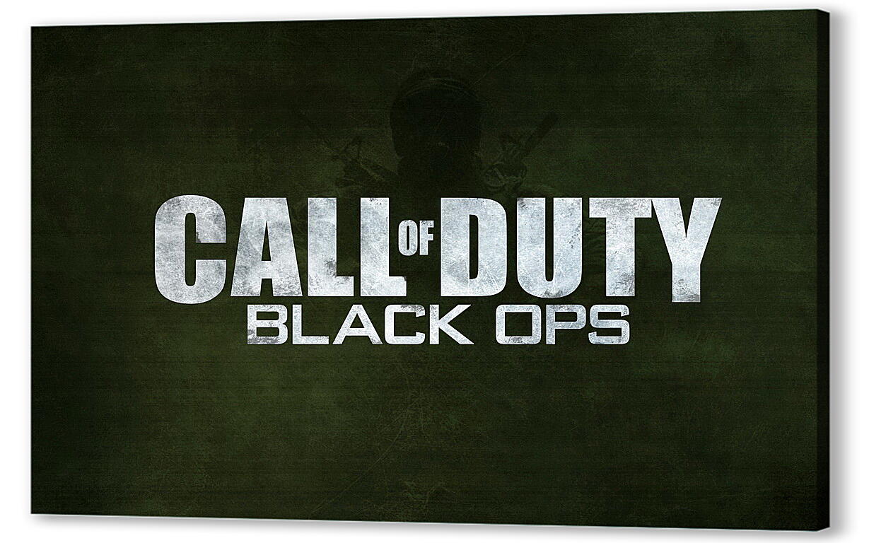 Постер (плакат) Call Of Duty: Black Ops
 артикул 27391